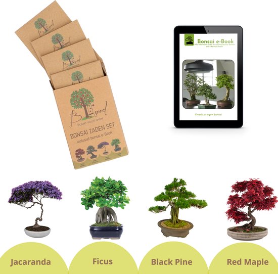 Kit de démarrage de graines de bonsaï Faites pousser votre propre