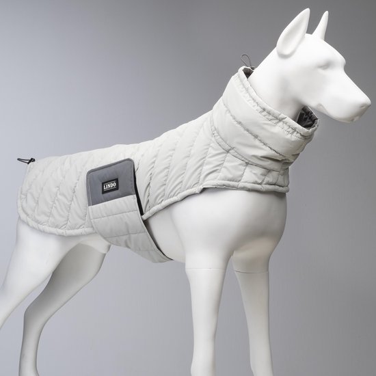 FANSU Hondenjas, omkeerbaar, hondenjas, 5,5-30 kg, hondenjas, winterkleding, hondenvest, kleine middelgrote en grote honden (5XL, groen/blauw