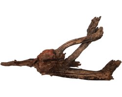 HS Aqua River Wood aquariumhout | roodbruin wortelhout XL - 51-70CM
