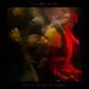 Flying Lotus: Until The Quiet Comes [2xWINYL]