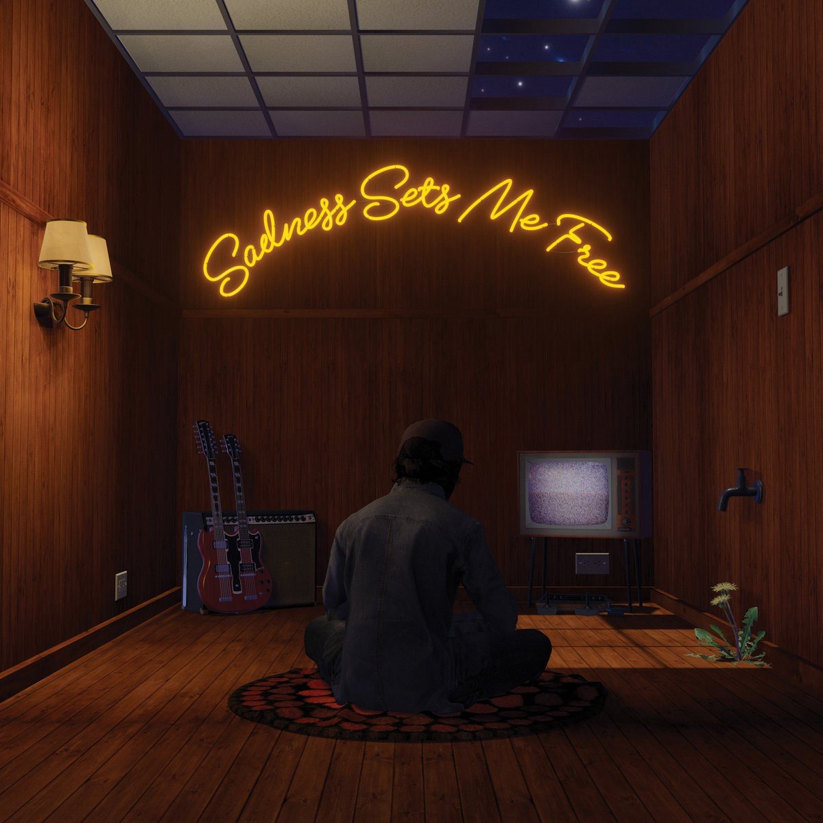 Gruff Rhys - Sadness Sets Me Free (LP) (Coloured Vinyl)