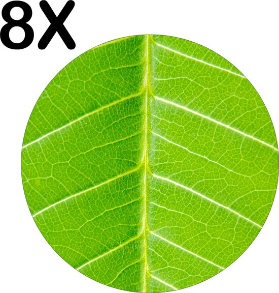 BWK Luxe Ronde Placemat CloseUp Groen Blad Plant Set van 8