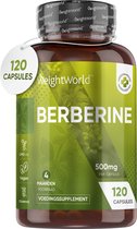 WeightWorld Berberine 500mg capsules - Zuurbes - 120 capsules voor 4 maanden - 98% HCL Berberine supplement