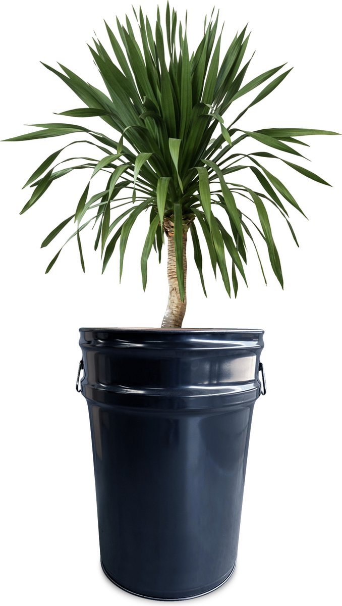 Barrelkings - Staande Plantenbak - Zwart Metaal Olievat - Ø40x58 cm - 60L - Industrieel Retro Design - Voor Binnen & Buiten