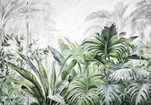 Fotobehang - Jungle - Tropisch - Groen - Bladeren - Safari - Planten - Vliesbehang - 312x219cm (lxb)