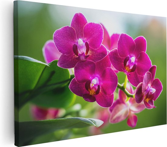 Artaza Canvas Schilderij Roze Orchidee Bloemen - 120x80 - Groot - Foto Op Canvas - Wanddecoratie Woonkamer