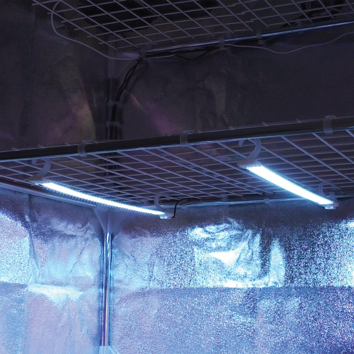 Secret Jardin Cosmorrow LED - 1 x 40 Watt - 90cm - 6500°K Gr