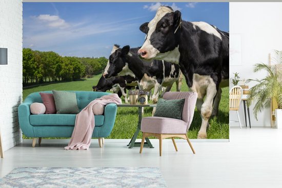 Papier peint - Papier peint photo Vache - Herbe - Pâturage - Largeur 375 cm x hauteur 240 cm