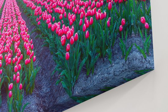 Artaza - Peinture sur toile - Champ de fleurs avec tulipes roses - Montgolfière - 60x40 - Photo sur toile - Impression sur toile
