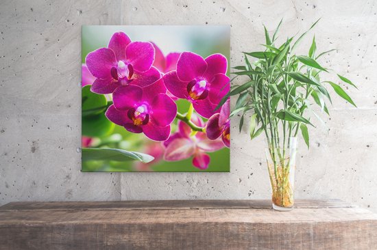 Artaza Peinture sur Toile Fleurs d'Orchidées Roses - 30x30 - Klein - Photo sur Toile - Impression sur Toile