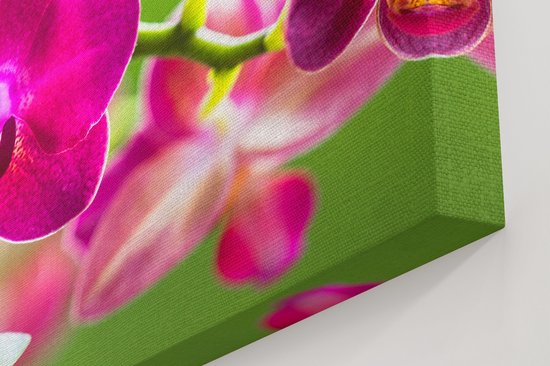 Artaza Peinture sur Toile Fleurs d'Orchidées Roses - 30x30 - Klein - Photo sur Toile - Impression sur Toile