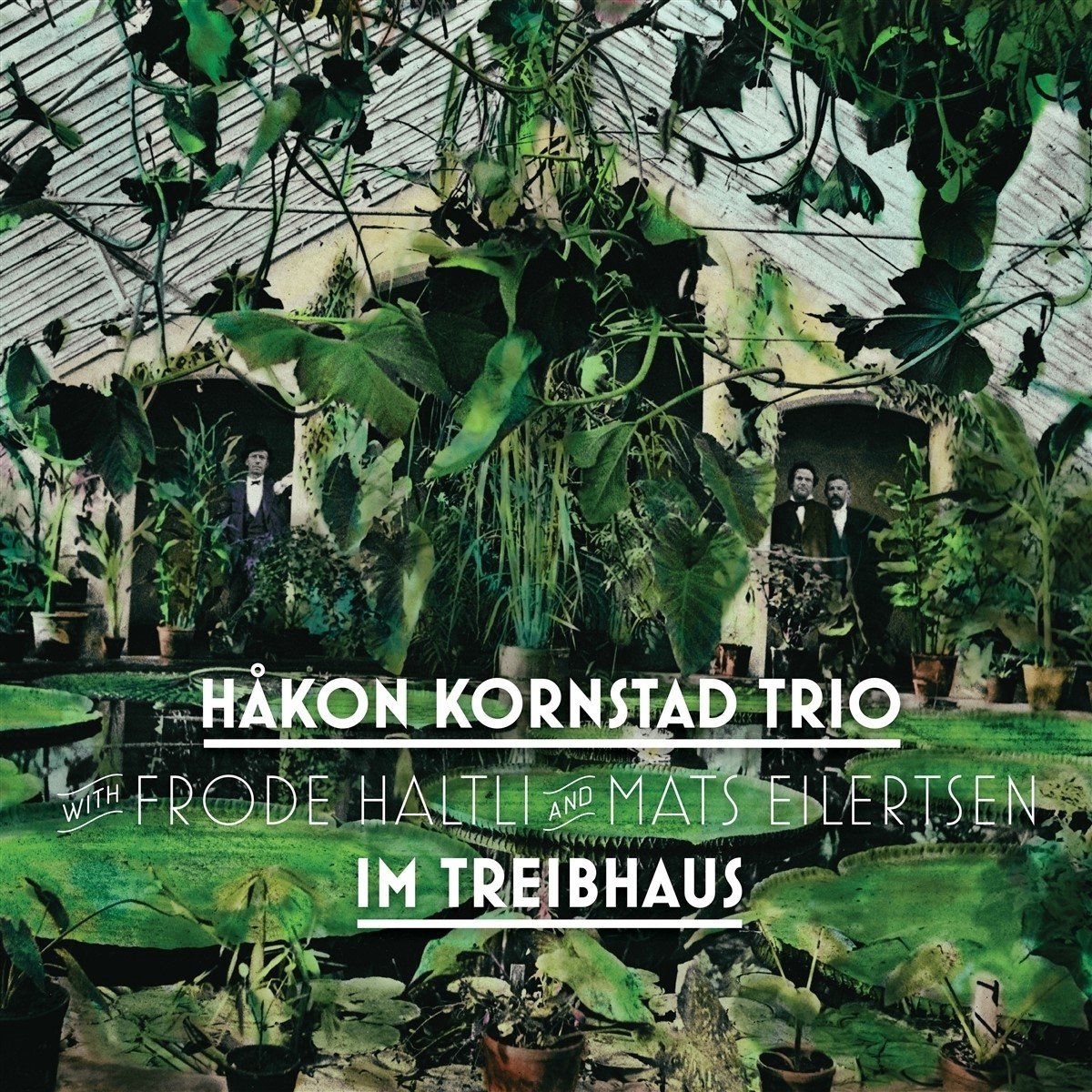 Hakon Kornstad trio - Im Treibhaus (CD)