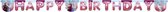 letterslinger Frozen Happy Birthday 2 meter karton roze