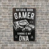 Game Room Sign  - Natural Born Gamer Gaming is my DNA