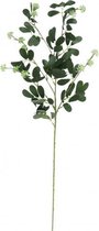 kunstboeket Vara Jujube vruchten 82 x 16 cm groen