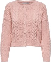ONLY ONLTUNDRA LIFE O-NECK CARDIGAN KNT Dames Trui - Maat S