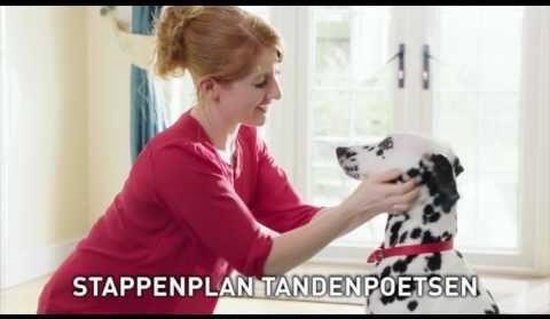 Vrouw met rode blouse poetst tanden van Dalmatiër met rode halsband. Tekst: STAPPENPLAN TANDENPOETSEN.