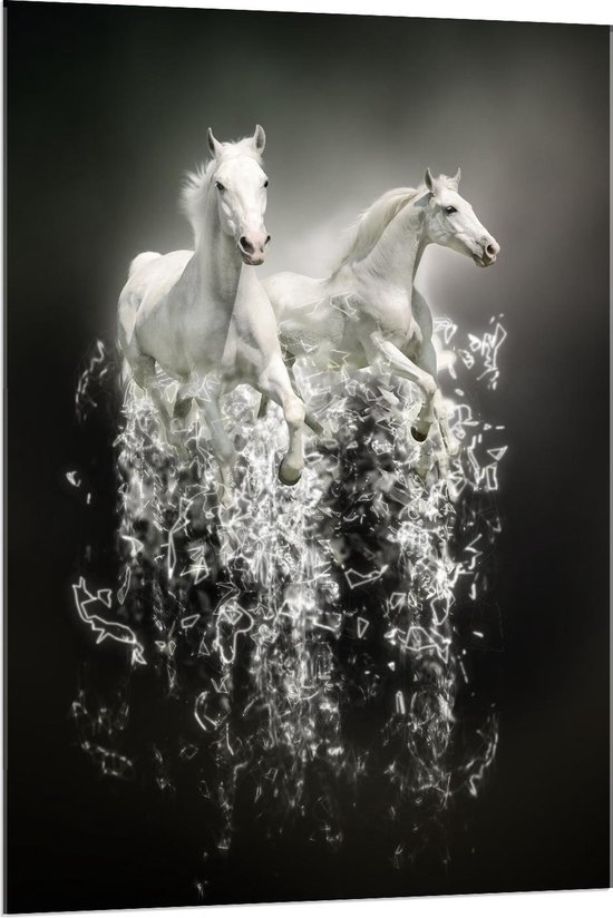 Acrylglas - Witte Dravende Paarden - 80x120cm Foto op Acrylglas (Wanddecoratie op Acrylglas)