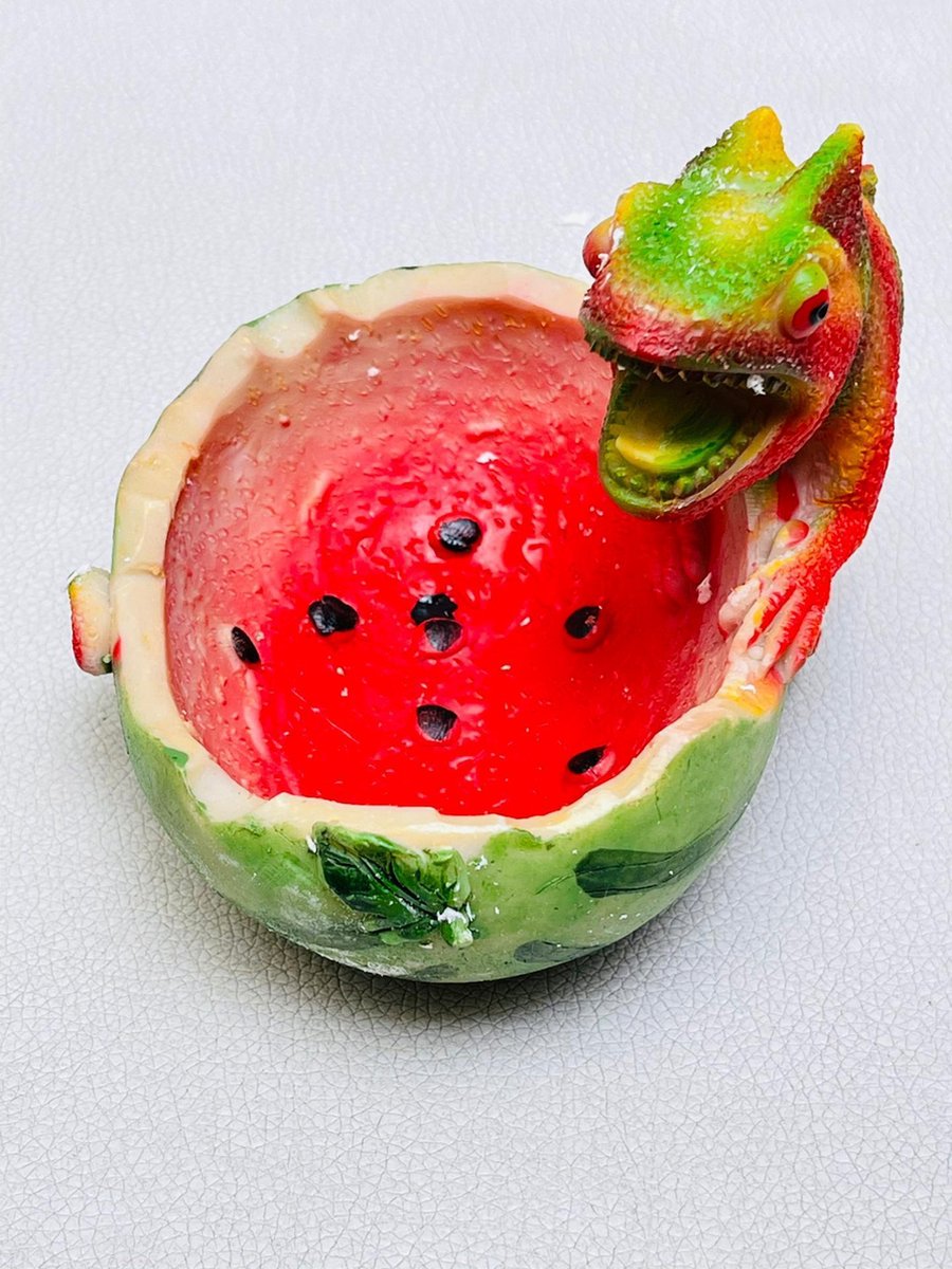Goedkoopste asbak cameleon/melon
