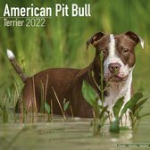 American Pit Bull Terrier - Kalender 2022