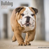 Bulldogs Kalender 2022