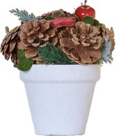 Kerststuk in pot - Red star | ø 12 x 15 cm | Decoratieve en goed gevulde kerstdecoratie in stevige pot met natuurlijke materialen en rode details | Wit