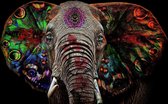 Glasschilderij Elephant colorful| 4 mm veiligheidsglas | 120 x 60 cm | Blind ophangsysteem | Glazen schilderijen