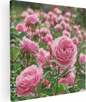 Artaza Canvas Schilderij Roze Rozen Bloemenveld - 90x90 - Groot - Foto Op Canvas - Canvas Print
