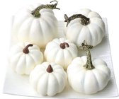 Herfstdecoratie | Pompoenen | Wit | 6 Stuks | Halloween