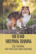 Shetland Sheepdog Training: Dog Training For Your Shetland Sheepdog