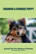Training A Chorkie Puppy: Special Tips For Raising A Chorkie