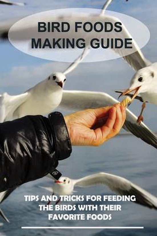 Bird Foods Making Guide Tips And Tricks For Feeding The Birds With