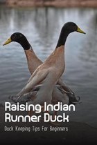 Raising Indian Runner Duck: Duck Keeping Tips For Beginners