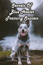 Secrets Of Blue Heeler Training Success: Fundamentals Needed To Train A Healthy & Happy Blue Heeler