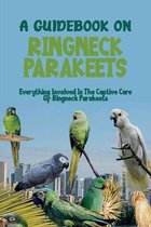 A Guidebook On Ringneck Parakeets