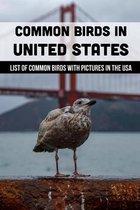 Common Birds In United States: List Of Common Birds With Pictures In The USA
