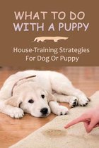 What To Do With A Puppy: House-Training Strategies For Dog Or Puppy