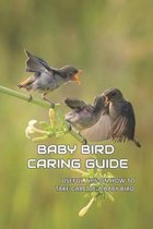 Baby Bird Caring Guide: Useful Tips On How To Take Care Of A Baby Bird