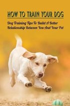How To Train Your Dog: Dog Training Tips To Build A Better Relationship Between You And Your Pet