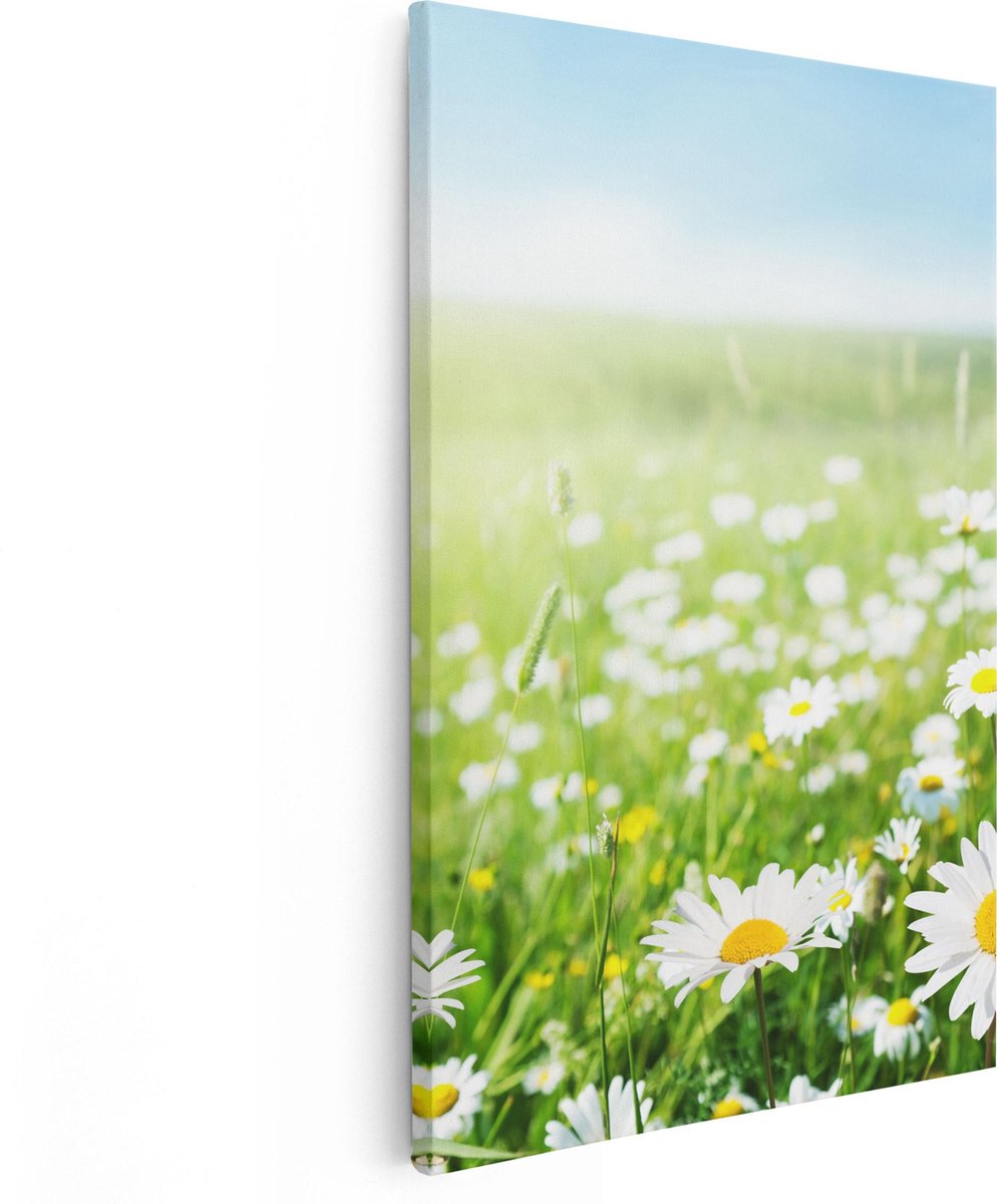 Artaza Canvas Schilderij Madeliefjes - 40x60 cm - Wanddecoratie Bloemen - Muurdecoratie We