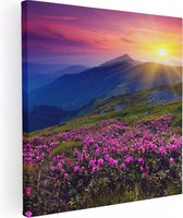 Artaza - Peinture sur toile - Champ de fleurs de rhododendrons roses - Montagnes - 50 x 50 - Photo sur toile - Impression sur toile