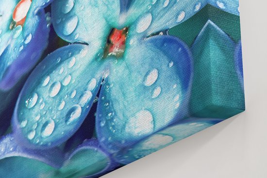 Artaza - Peinture sur toile - Fleurs lilas bleues - Lilas - 50x50 - Photo sur toile - Impression sur toile