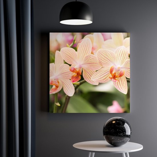 Artaza - Peinture sur Toile - Fleurs d'Orchidées Witte Rayées - 40x40 - Klein - Photo sur Toile - Impression sur Toile
