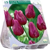 Plantenwinkel Tulipa Passionale tulpen bloembollen per 15 stuks