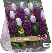 Plantenwinkel Urban Flowers Purple rain bloembollen per 12 stuks