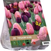 Plantenwinkel Urban Flowers Twilight zone bloembollen per 16 stuks