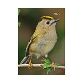 Birds Agenda 2022