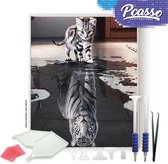 Pcasso ® Kat Tijger - Diamond Painting - Incl. Veel Diamond Painting Accessoires - Diamond Painting Kinderen - Diamond Painting Dieren - Diamond painting volwassenen - 30x40 CM