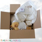 Baby Cadeau Pakket-Kraam Kado- Funnies Kraampakket/Geboorte Pakket met Naam - Inclusief Badcape - Knuffelbeer/Teddybeer - Babyknuffel - Muziekdoosje