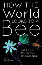 How The World Looks To A Bee